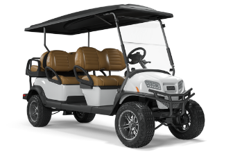 6 Passenger Golf Cars for sale in Naples, Fort Myers, & Labelle, FL